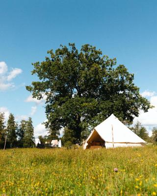 Glamping in Småland
