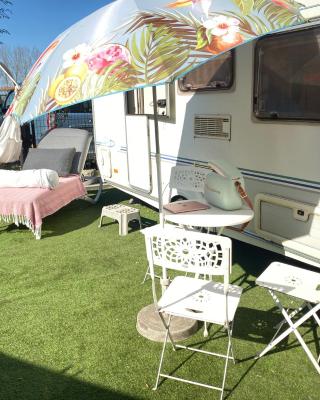 Gardencaravan near Ghent in green area