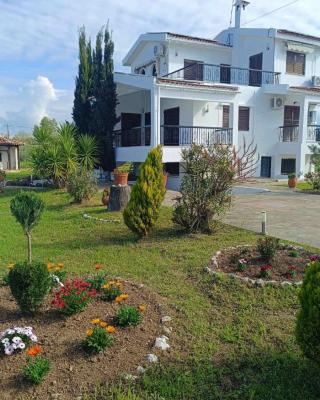 Gaia Olives Villa