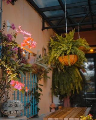 Summer Delight B&B