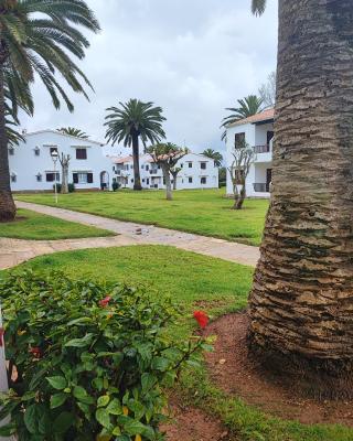 Apartamento colibrí
