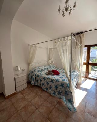Bed and Breakfast Le petunie