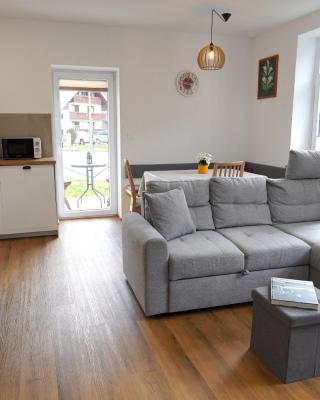 Apartma in studio Jerca ob Savi