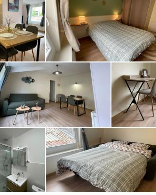 L'olive- centre Ardres- fibre- 2 lits