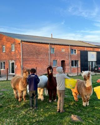 Belevingshoeve " de Smishoeve"