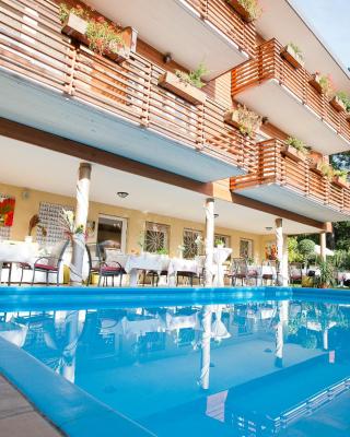 Hotel Aster