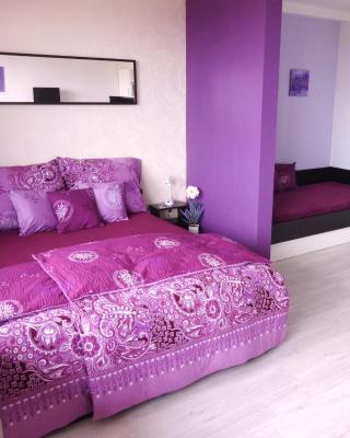 Apartments 4U center + free parking