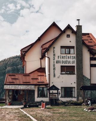 Pensiunea Fântâniţa Haiducului