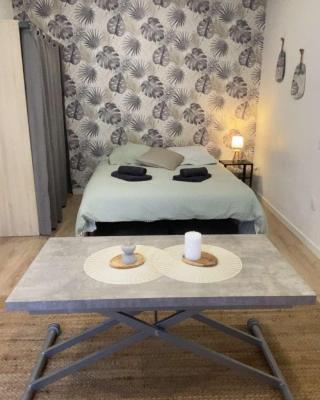 Studio Cosy - proche du centre ville