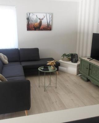 Meerdaal