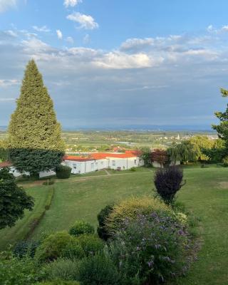 Apartment Bodenseepanorama mit wunderschönem Alpenpanorama und Indoor-Pool