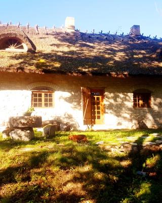 Paali cottage rent
