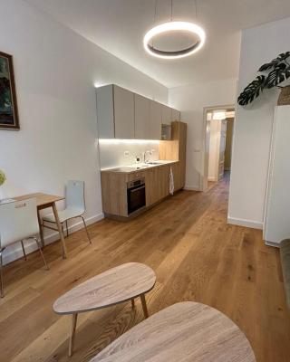 Art Nouveau apartment with garden in Pisek