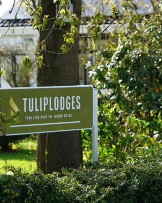 Tulip Lodges