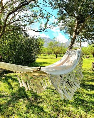 Green Hotel "I Mandorli di Dommos"