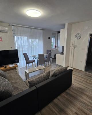 Apartment Misir in downtown