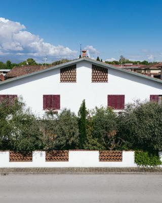 Enzo’s House