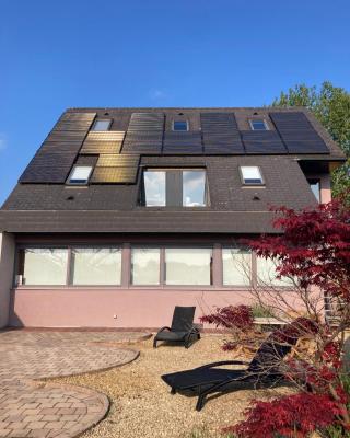 Bel-etage centraal gelegen in België max 8 pers, veel privacy