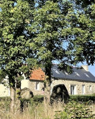 Menhirs et Moutons Ouessant