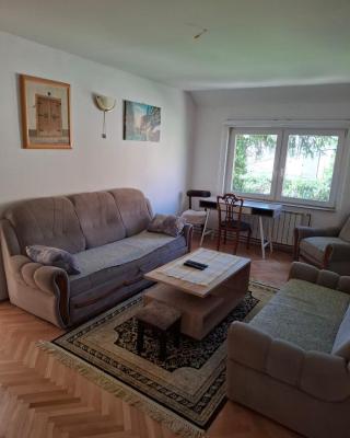 Apartman Mickey