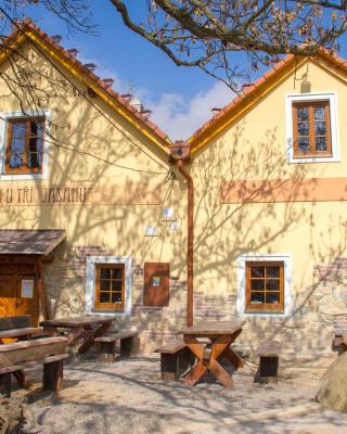 Restaurace & Penzion U Tří Jasanů