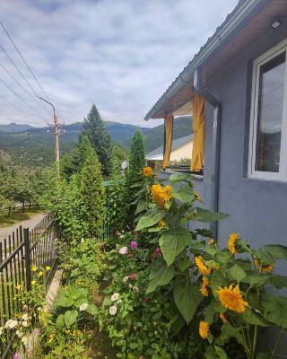Sunny Lodge Dilijan