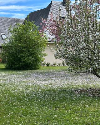 Au Milieu des Haras