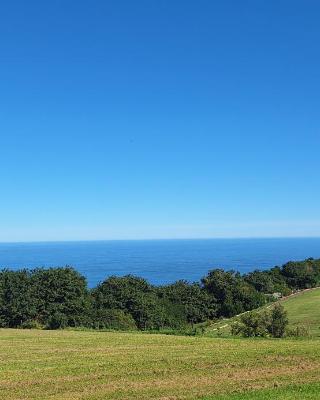 Dolphin View Cottages