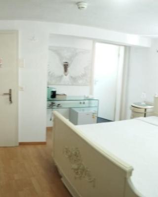 Zimmer corse 08