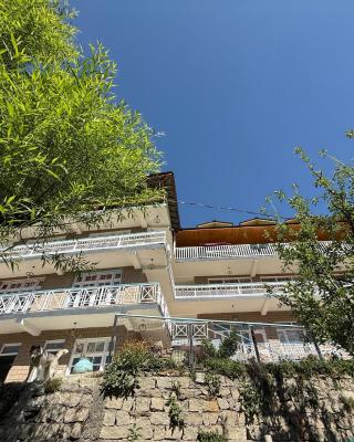 Hotel The Premium Villa Old Manali View