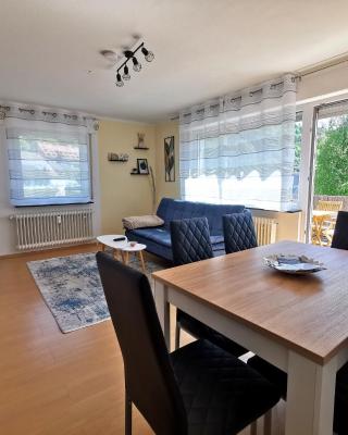 3 Zimmer-Apartment mit Terrasse