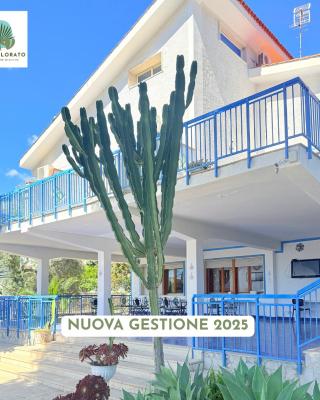 Nido Colorato B&B