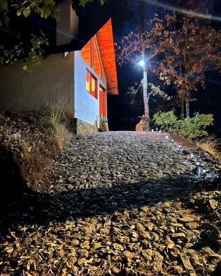 Betooz Cabin