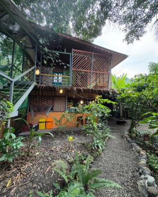 Orgánico Punta Riel