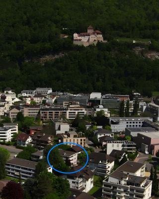 Castle View Big Appartment Vaduz Center