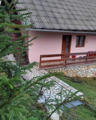 Vatra Moților