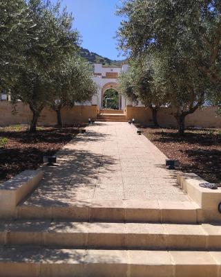Villa Mediterranea