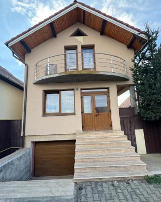 Casa cu brad