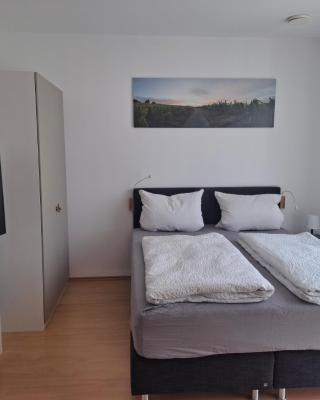 Ferienwohnung Markert - Neben den Weinbergen