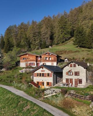 Tiny House facing the Alps - Ski in, Ski out