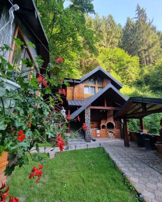 Căbănuța Cocoțată