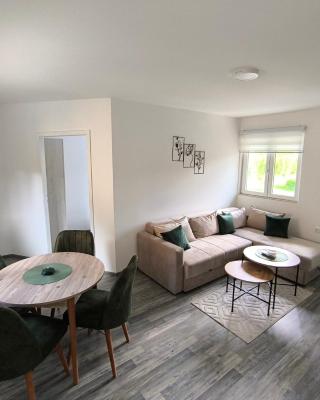 Apartman Removic