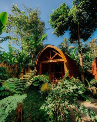 Coffee Homestay Tetebatu