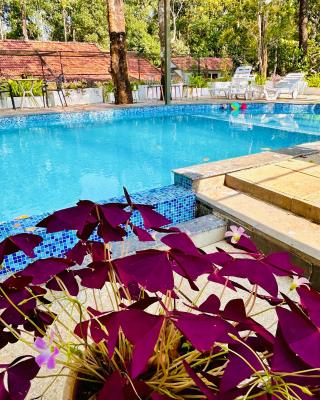 Drey at Druv Dakshin Farm Resort