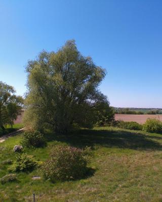 Der Landhof Weide