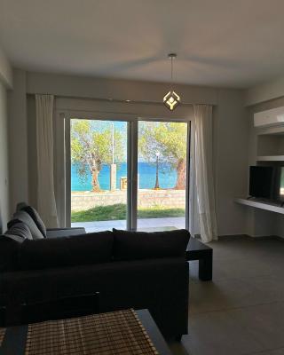 Serene beach house