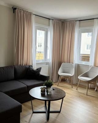 Newly refurbished Apartment