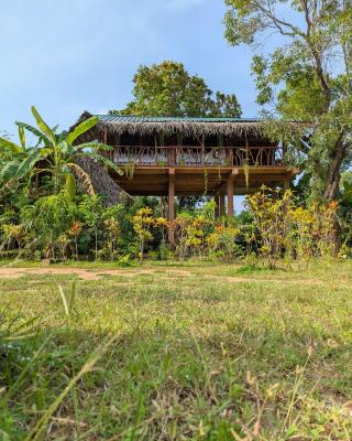 Sigiriya Rock View Tree house
