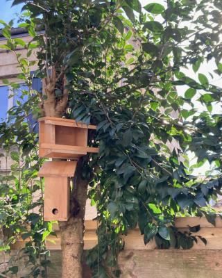 Chambre dans un appartement avec jardin