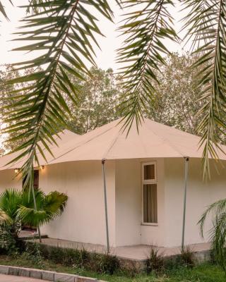 Clarks Safari Ranthambore